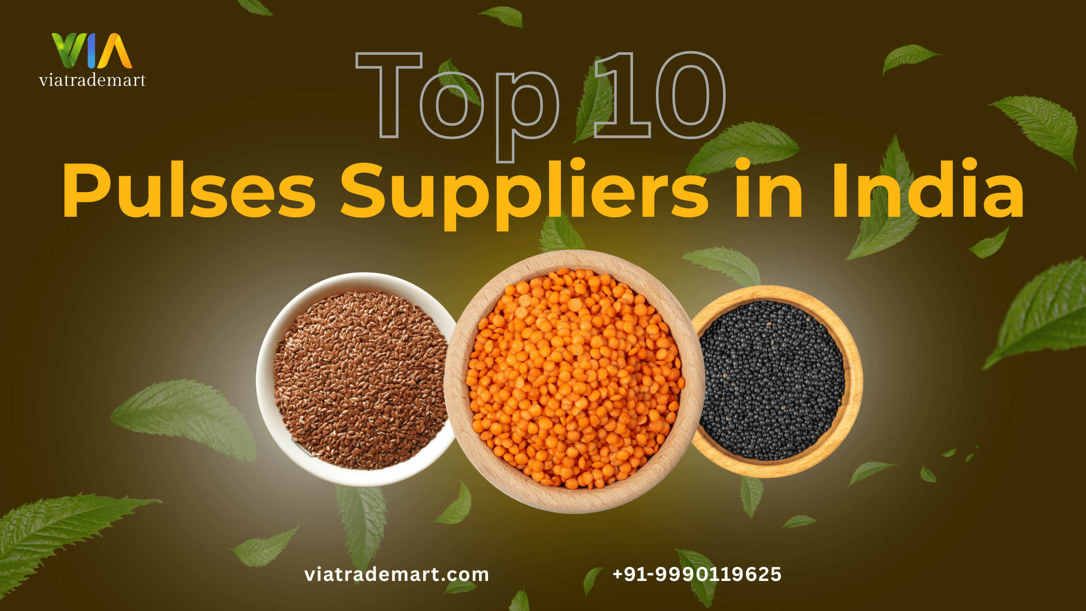 Top 10 Pulses Suppliers in India (2025 Guide)
